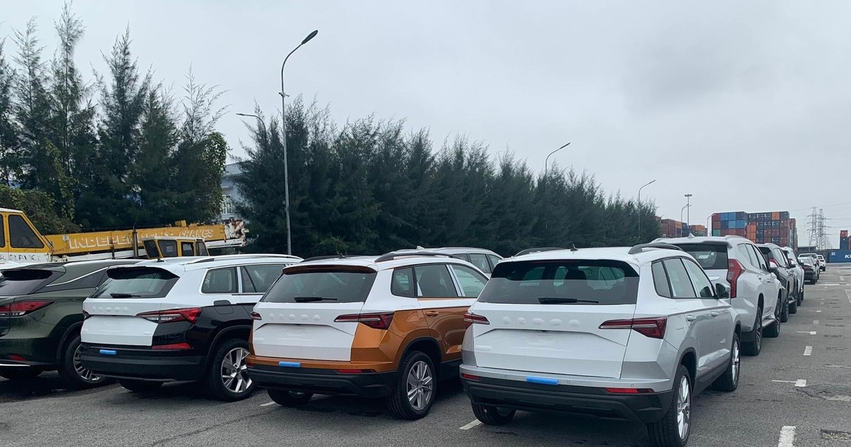 Hãng ô tô Skoda của Cộng hòa Séc mở bán tại Việt Nam từ tháng 9/2023