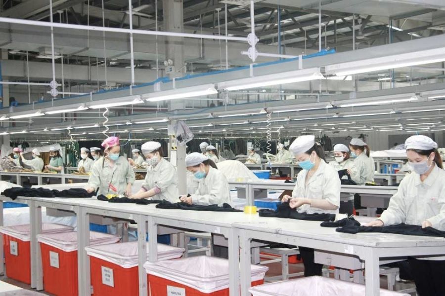 Vi phạm hành chính về thuế, Tập đoàn MPT bị nộp phạt và truy thu hơn 2 tỷ đồng