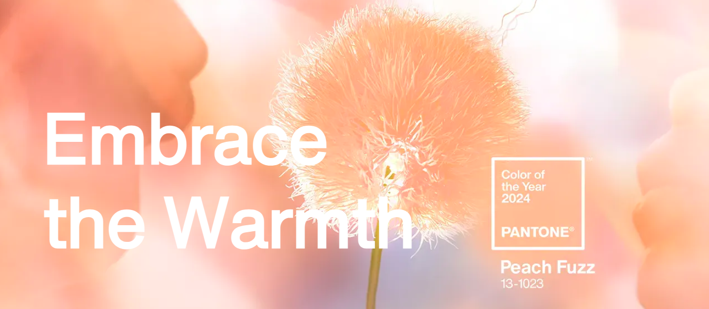 Sau cơn sốt Barbie 'hồng cánh sen', năm 2024 màu sắc dẫn đầu xu hướng sẽ là gì?