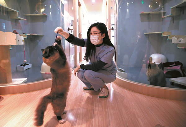 'Kinh tế thú cưng' bùng nổ tại Trung Quốc 4