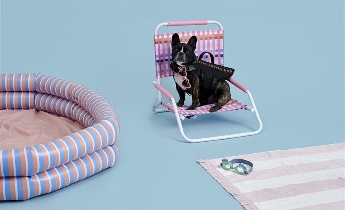 Doanh nghiệp 'hái tiền' nhờ thị trường phụ kiện thú cưng 4