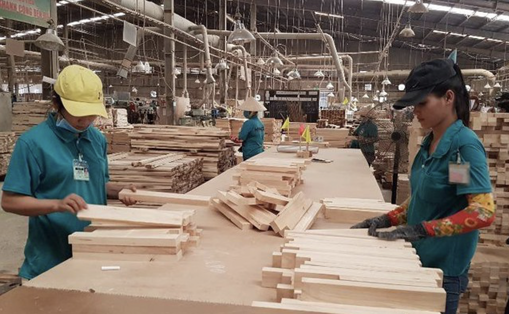 Vi phạm hành chính về thuế, Gỗ Thuận An bị xử phạt và truy thu gần 135 triệu đồng