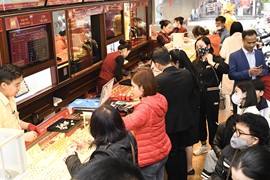 Đi tìm 'thuốc đặc trị' chữa cơn sốt vàng