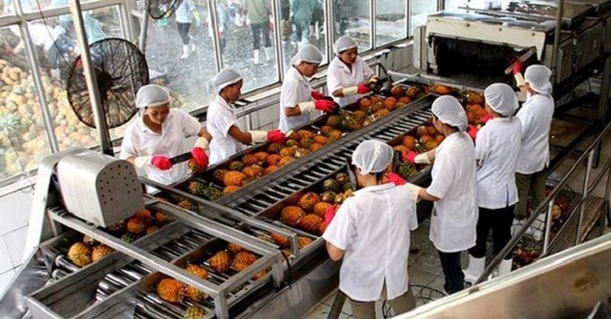 Liên tiếp thua lỗ 3 năm, cổ phiếu APC sắp rời sàn HOSE