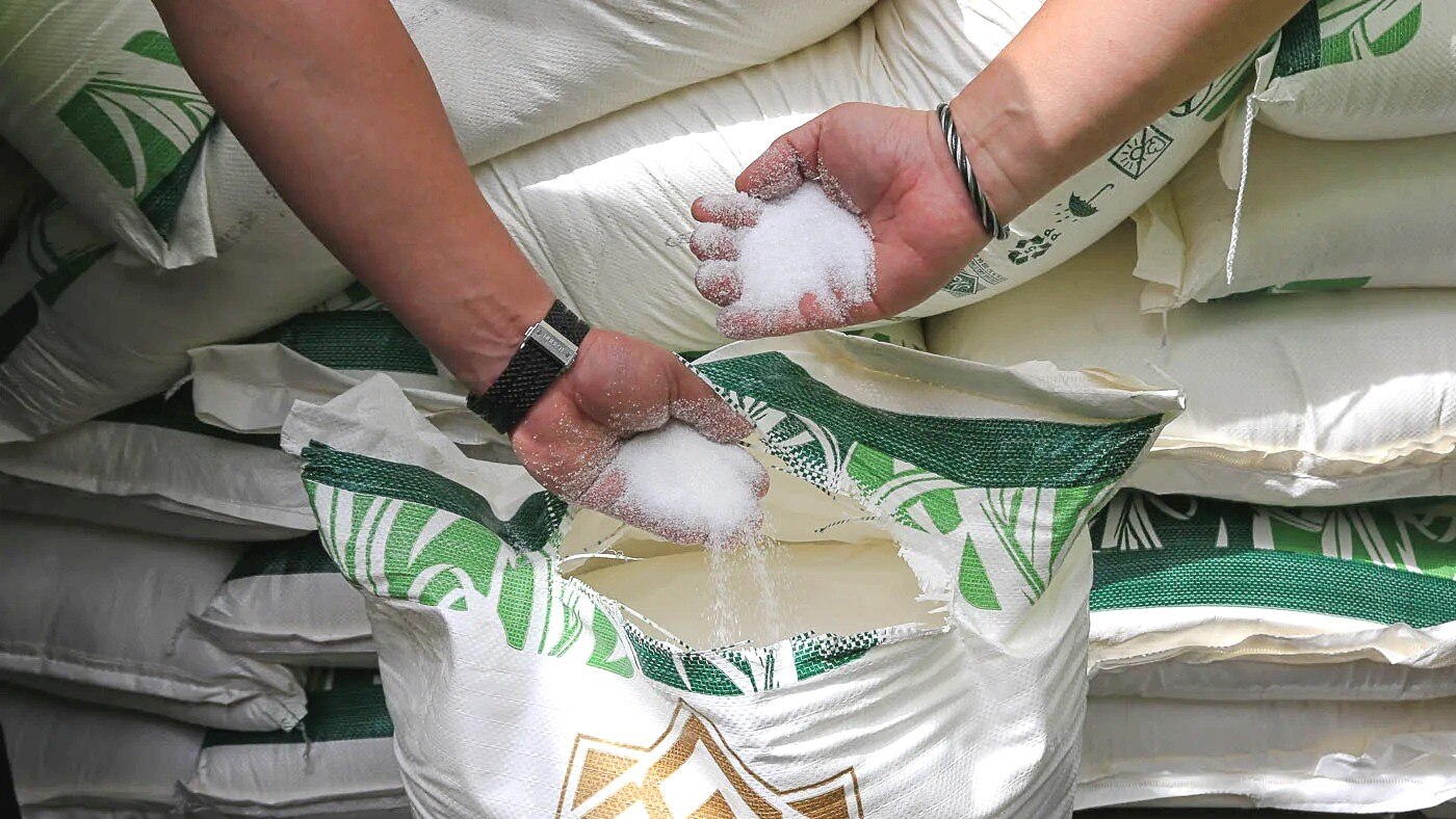 Giá đường thế giới lên đỉnh 12 năm, Đường Quảng Ngãi (QNS) thêm 'vị ngọt'