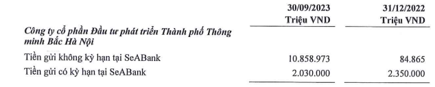 Chủ đầu tư 'siêu dự án' thành phố thông minh 4,2 tỷ USD đang để gần 13.000 tỷ đồng tại ngân hàng nào? 2