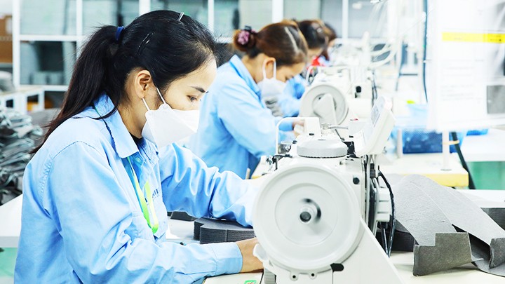 Mạnh tay hơn với hành vi trốn đóng BHXH