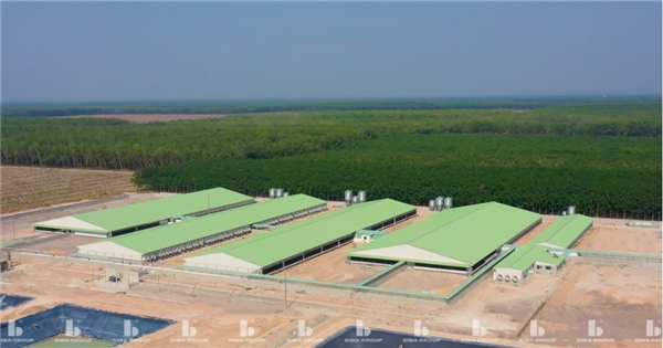 Công ty thứ 2 của ông Trương Sỹ Bá lên sàn chứng khoán