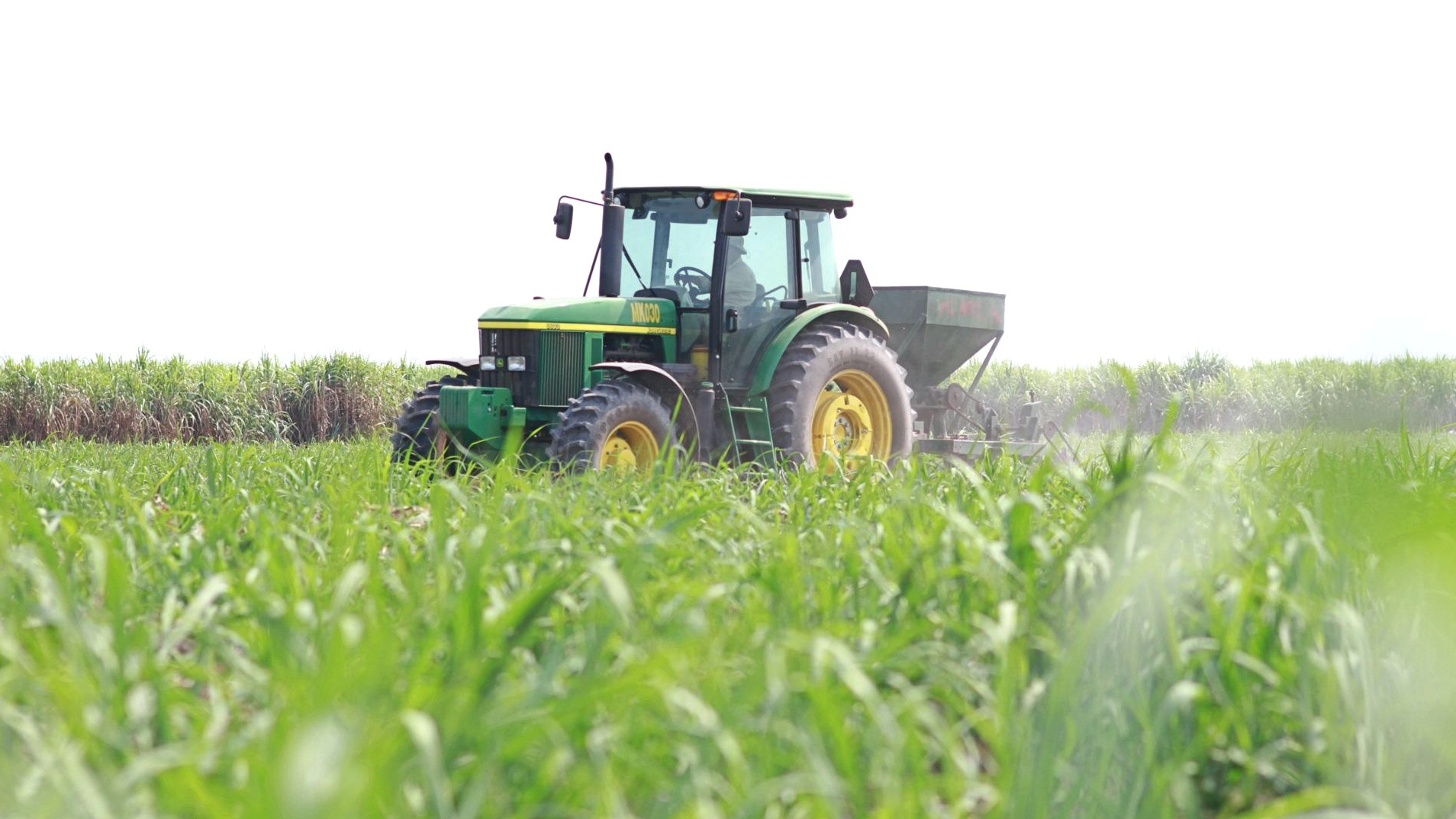 Đường Quảng Ngãi (QNS): Dự báo giá bán đường sẽ neo cao, sản lượng có thể tăng 20%