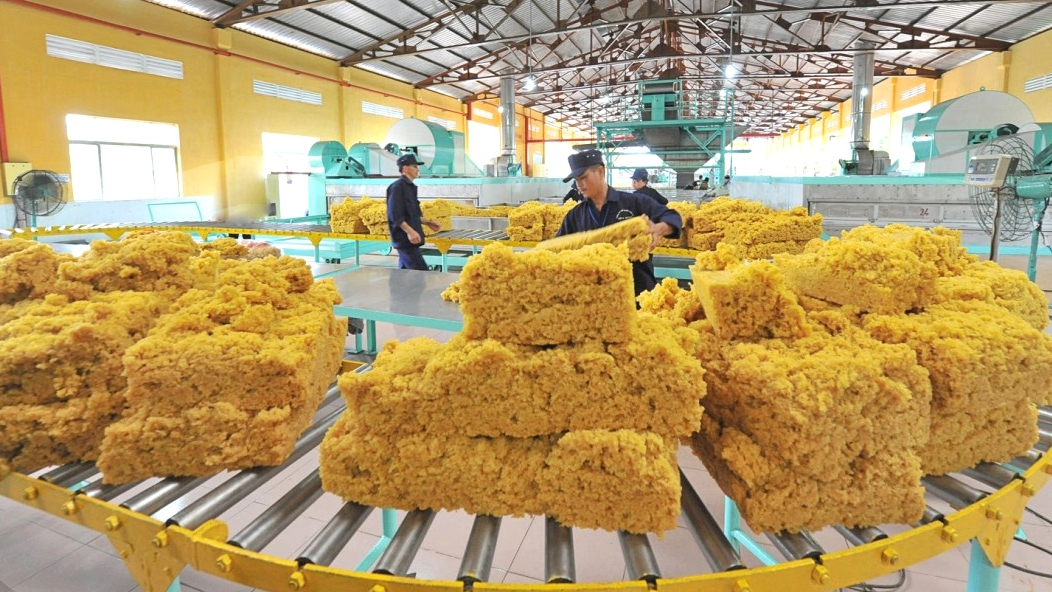 Cao su Phước Hoà (PHR): Nhu cầu và giá cao su bắt đầu phục hồi từ cuối năm nay