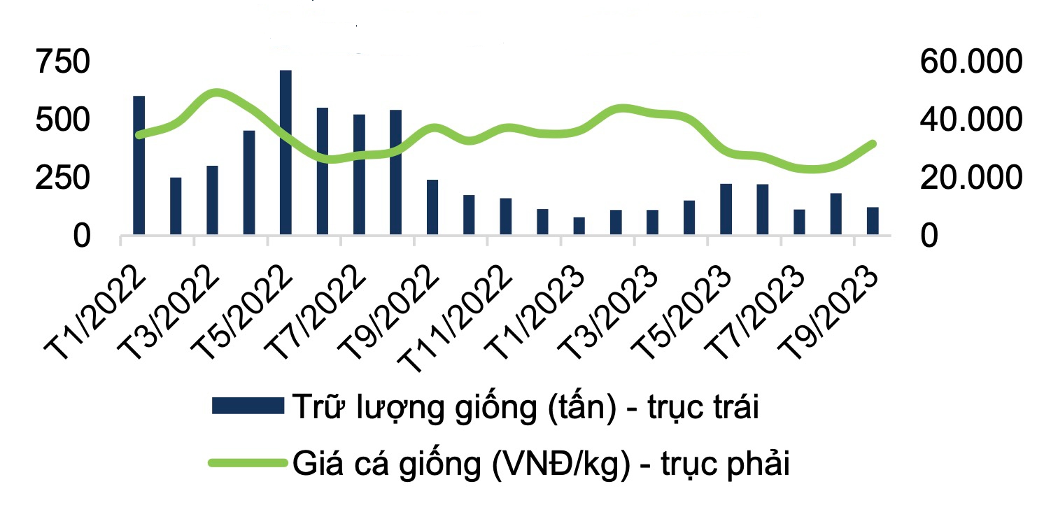 Xuất khẩu cá tra dần phục hồi từ quý 4 nhưng nguồn cung cá nguyên liệu sẽ thiếu hụt 5