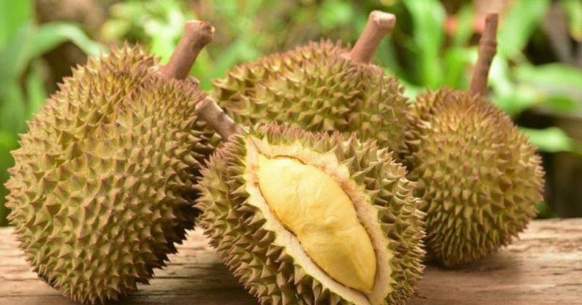 Nhật Bản tiêu hủy 2 lô sầu riêng và ớt Việt Nam, thị trường khó tính hay lỗi từ nguồn cung?