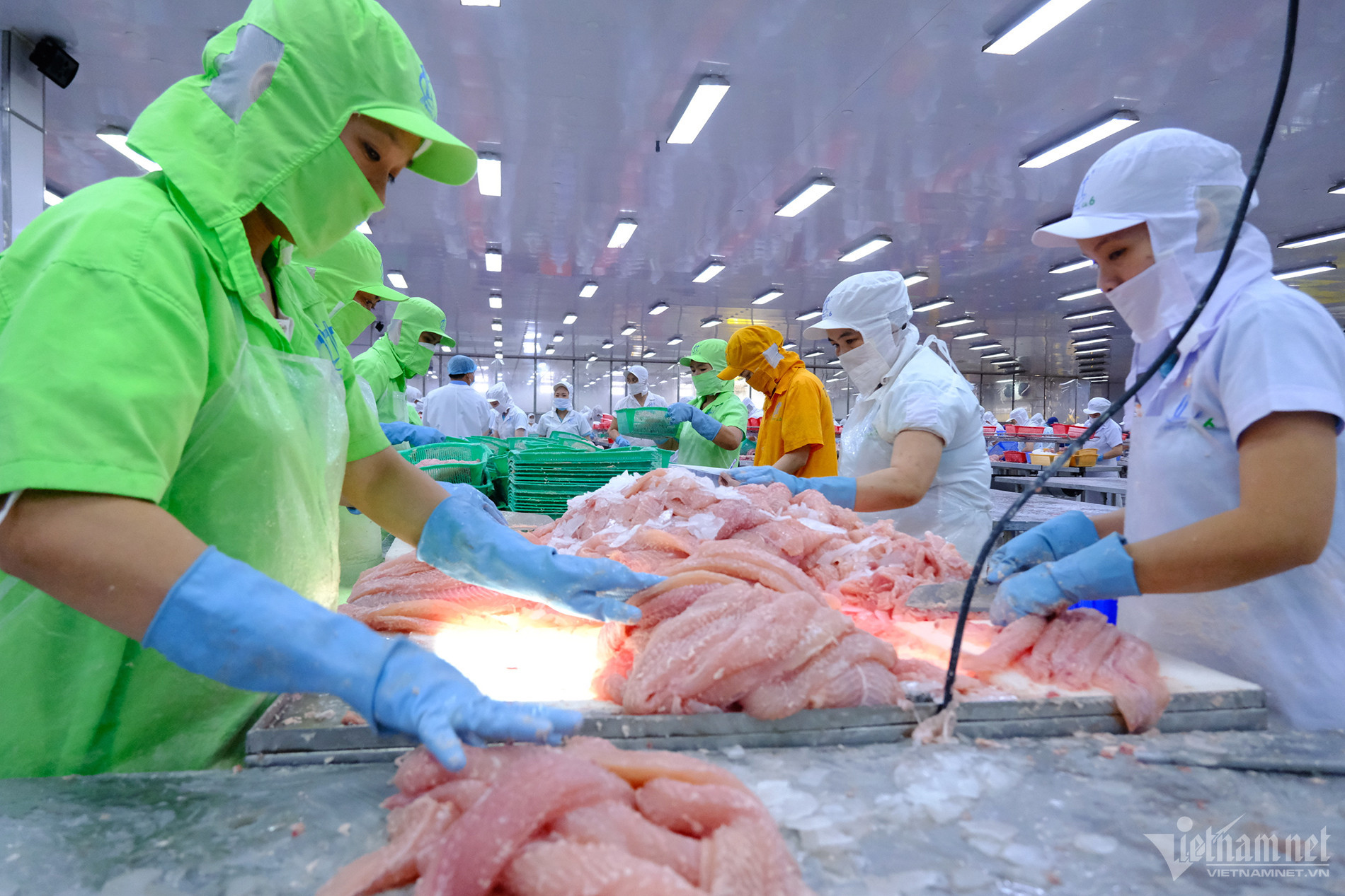 Xuất khẩu tôm cua mực lao dốc, tỷ USD sụt giảm mong đợi mùa lễ tết