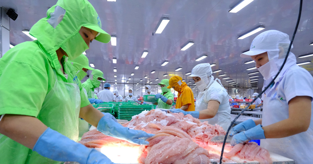 Xuất khẩu tôm cua mực lao dốc, tỷ USD sụt giảm mong đợi mùa lễ tết