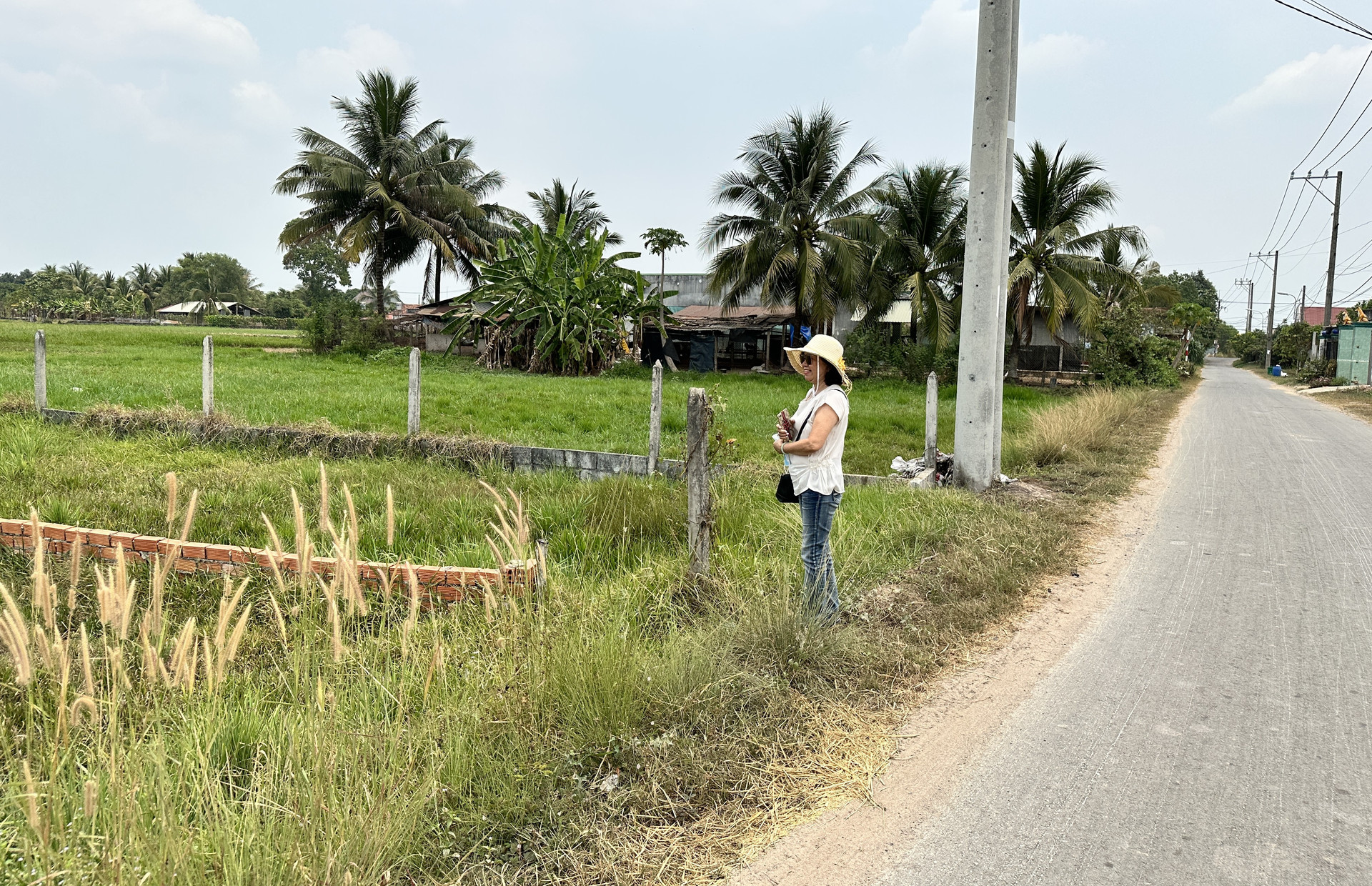 Tâm lý người dân và nhà đầu tư cải thiện, thị trường đất nền liệu có sốt trở lại? 2