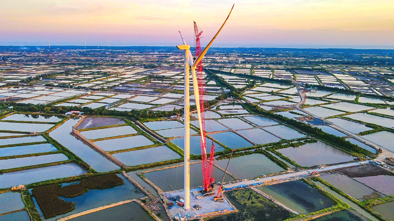 Chủ tịch Bamboo Capital (BCG) thoái toàn bộ vốn tại BCG Land (BCR), dồn lực cho mảng năng lượng tái tạo