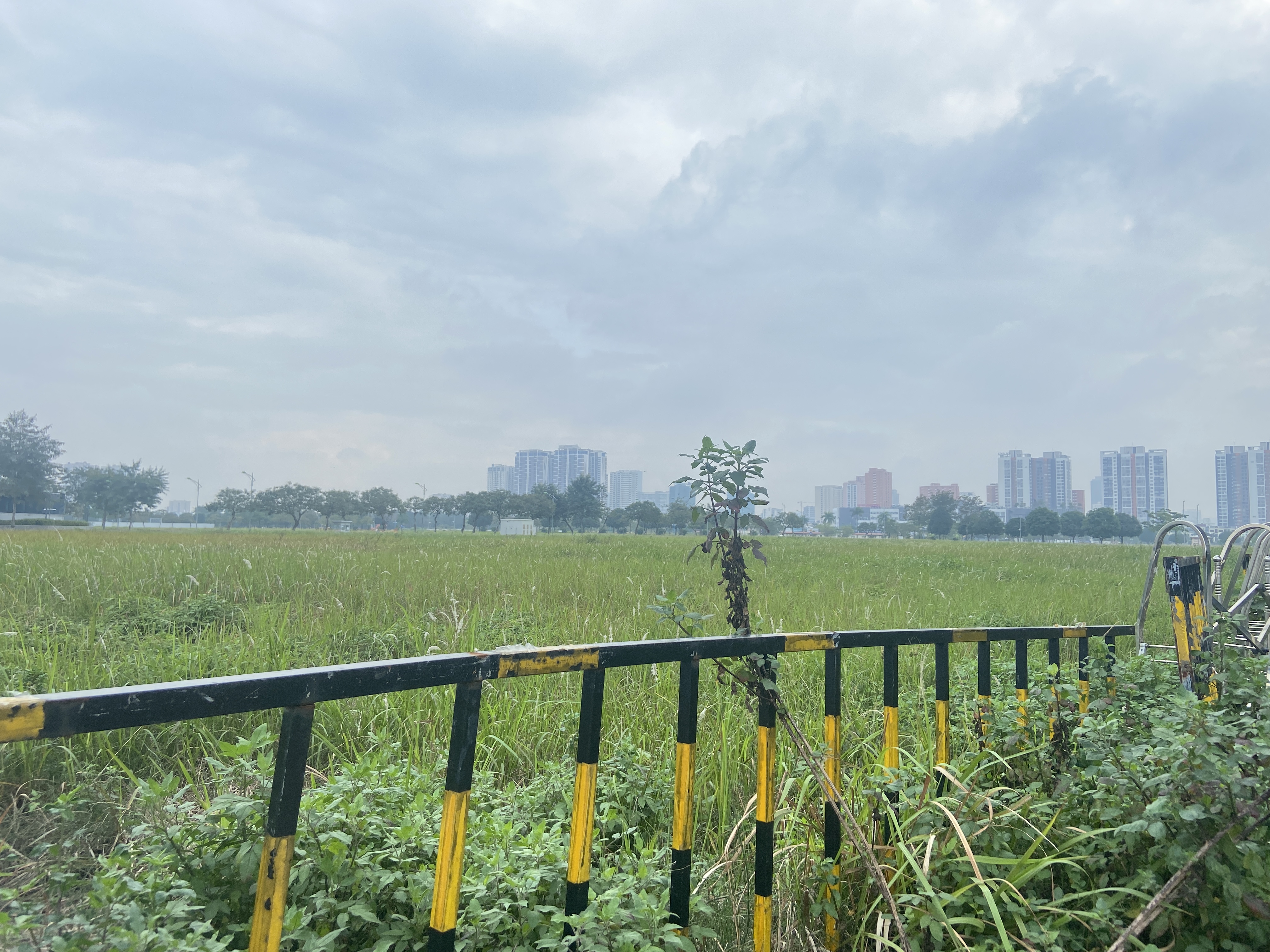 Toàn cảnh khu đô thị Starlake Tây Hồ Tây nơi doanh nghiệp nước ngoài tập trung thành lập 'chợ' 16