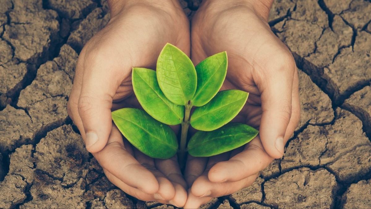 Ngành tài nguyên môi trường vững bước trên con đường xanh hoá