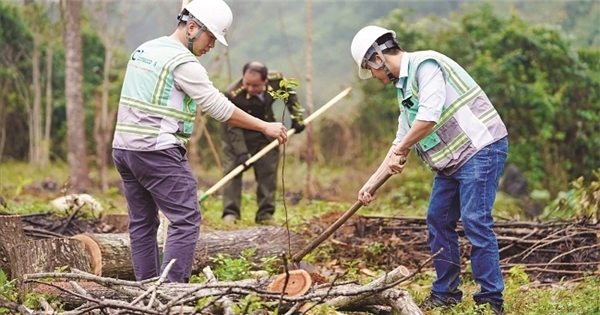 Chuyện 'con gà quả trứng' với doanh nghiệp niêm yết