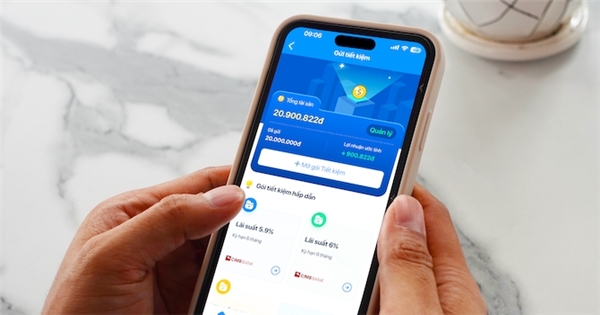 Lợi nhuận các ví điện tử đang phân hóa