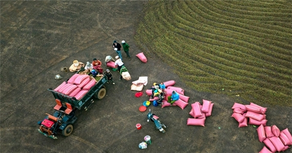 Tương lai đầy hứa hẹn cho xuất khẩu nông sản