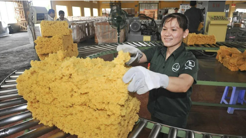 Ấn Độ là thị trường xuất khẩu cao su lớn thứ hai của Việt Nam