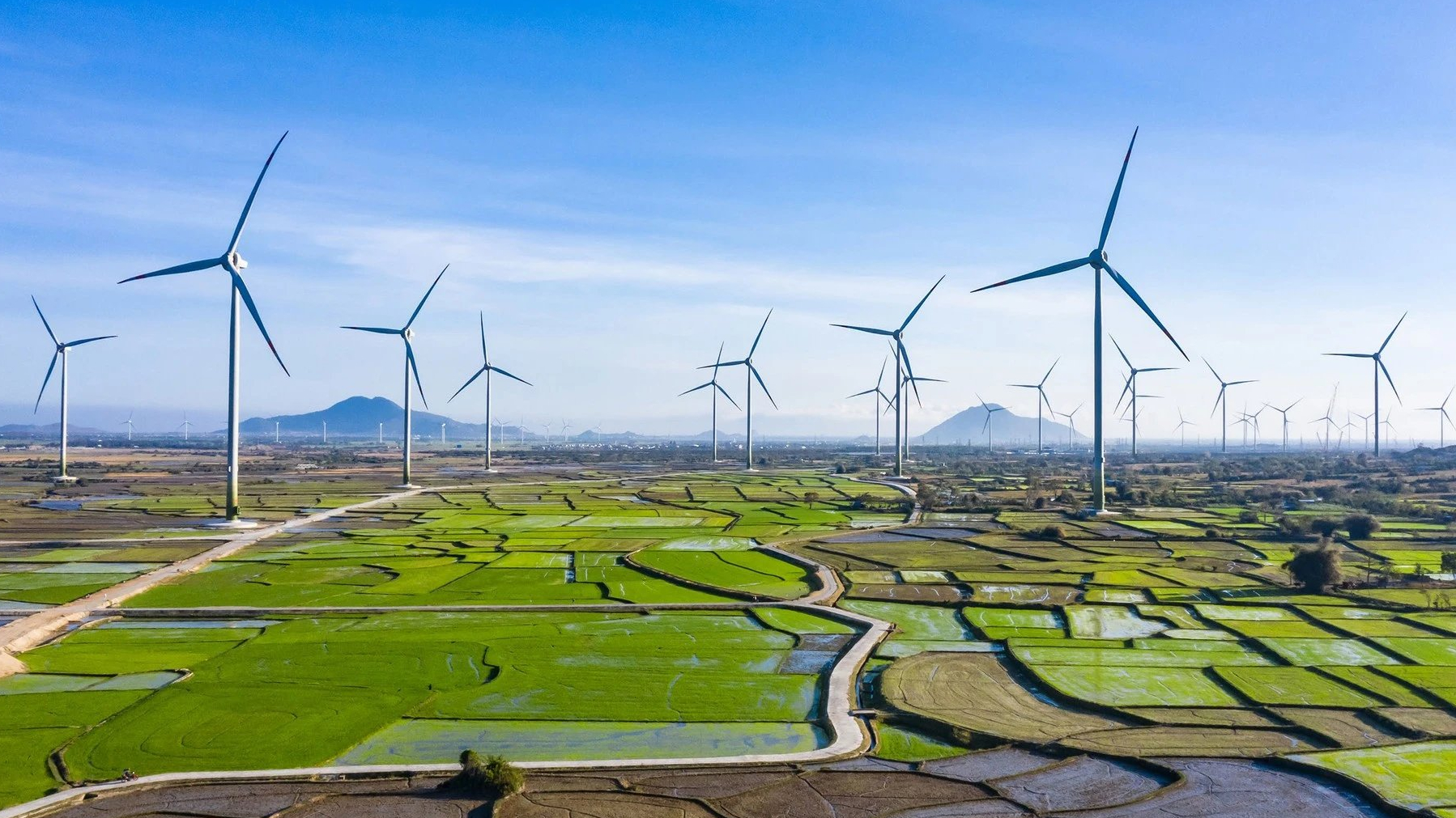 Vừa bắt tay với 'đại gia' Trung Quốc, Tài chính Điện lực (EVF) đặt mục tiêu lợi nhuận năm nay tăng 43%