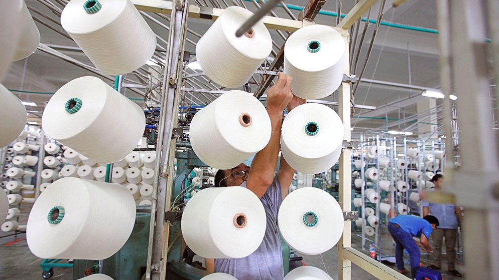 Dệt sợi Damsan (ADS) 'cài số lùi' lợi nhuận năm 2024