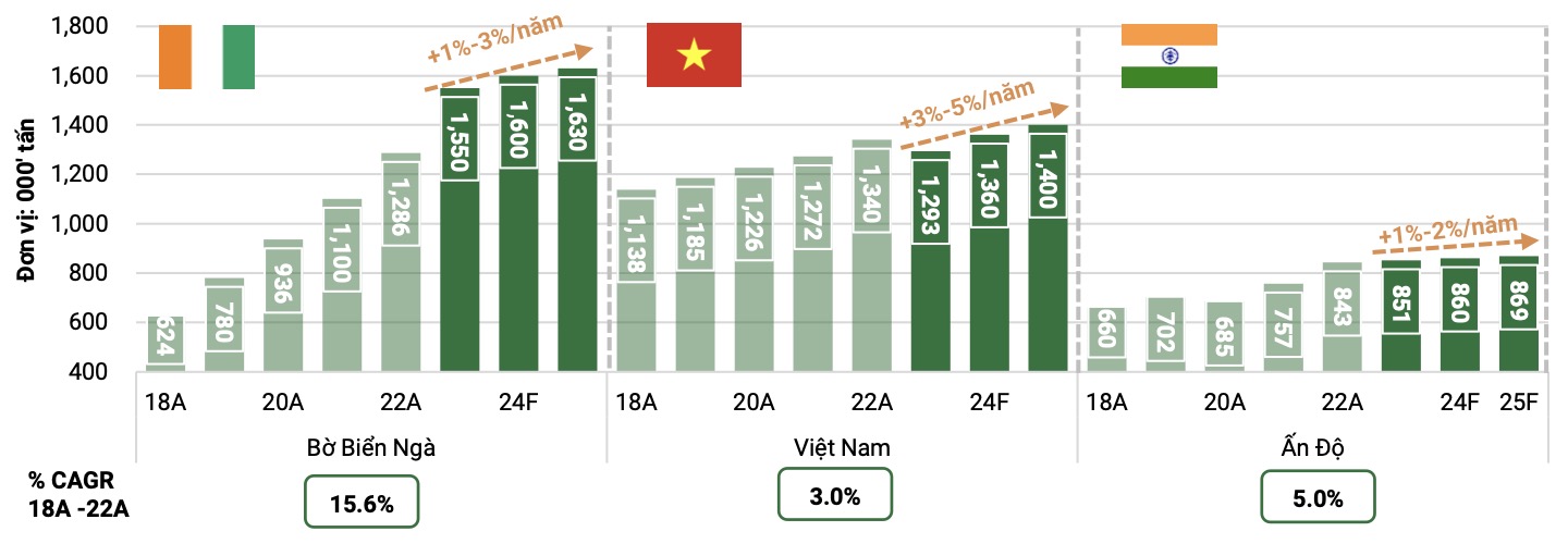 Thiếu hụt nguồn cung toàn cầu gia tăng, giá cao su dự báo có thể tăng thêm 20% 2