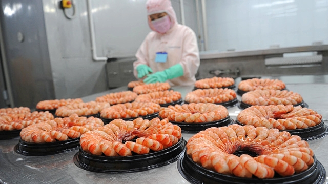 Thực phẩm Sao Ta (FMC): Doanh thu quý 1/2024 tăng 14%, sẵn sàng đương đầu với vụ kiện chống trợ cấp