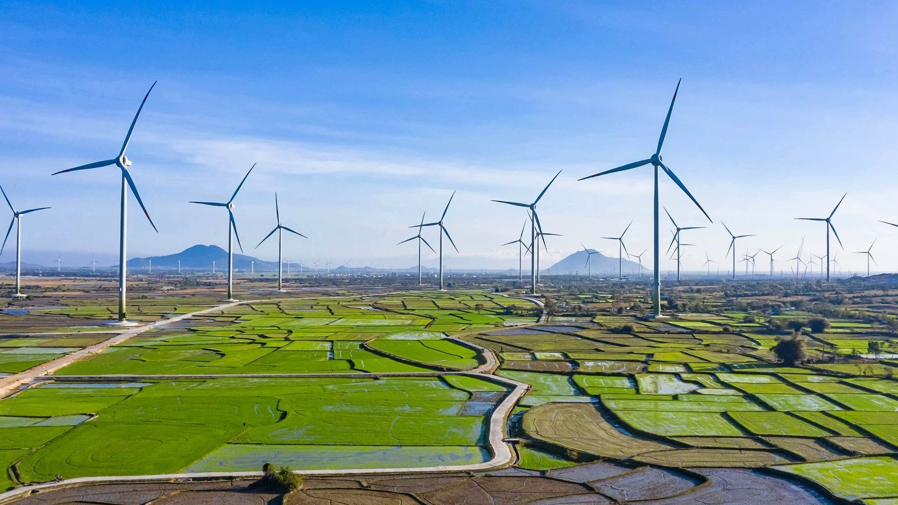 Đâu là động lực giúp Bamboo Capital (BCG) tự tin lãi ròng năm nay tăng gấp hơn 5 lần?