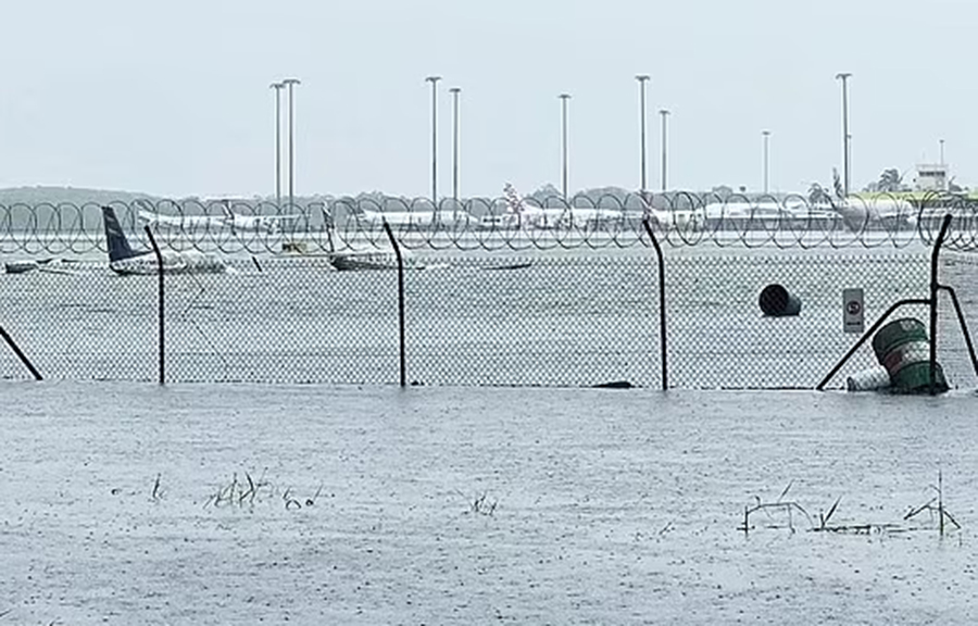 Lũ lụt ở Cairns, Australia: Sân bay đóng cửa, xuất hiện cá sấu trong lũ, người dân chịu... 'bom' mưa
