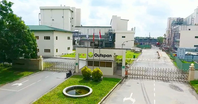 Không phải Trung Nguyên, Outspan Việt Nam mới là công ty xuất khẩu cà phê rang xay, hòa tan nhiều nhất Việt Nam