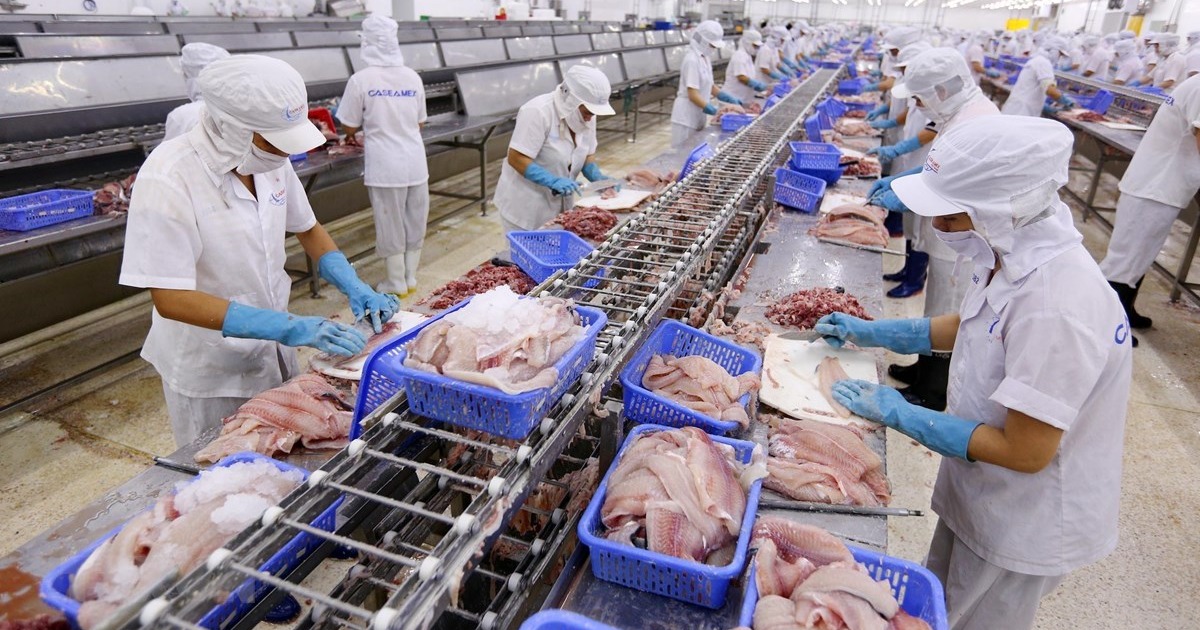 5 doanh nghiệp xuất khẩu cá tra Việt Nam bị áp mức thuế chống bán phá