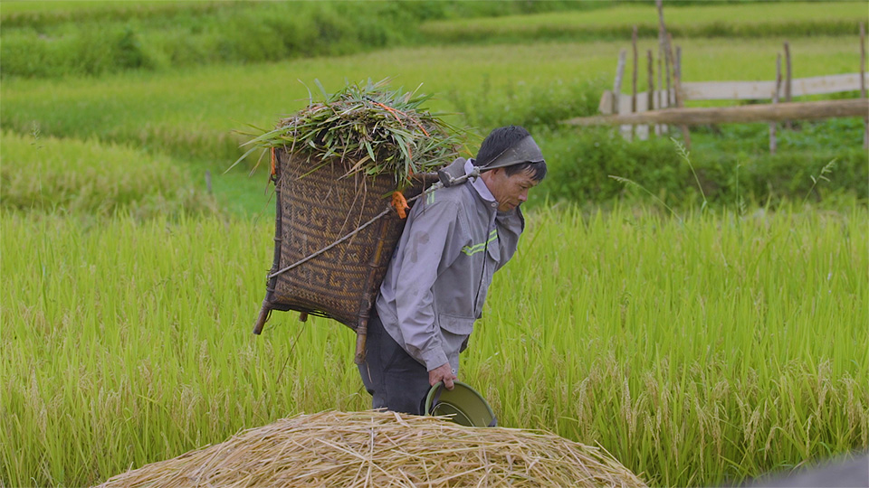 Đập Pha Lài