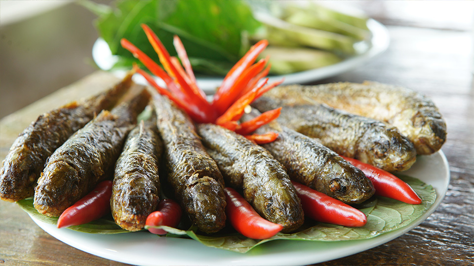 Đập Pha Lài