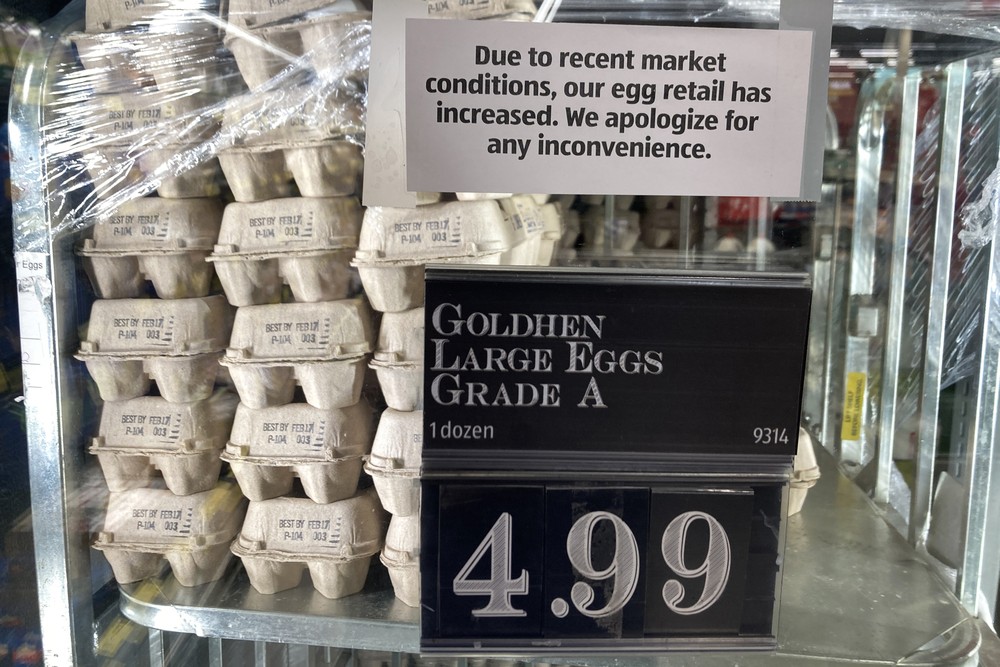 ap23010692598541-9048.jpg