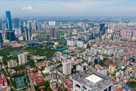 Căn hộ cho thuê đắt khách