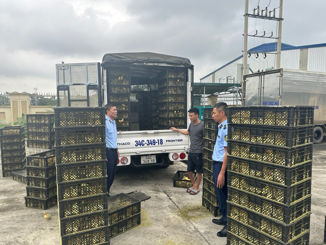 Lực lượng QLTT Quảng Ninh vừa phát hiện gần 2 tấn xúc xích không rõ nguồn gốc, xuất xứ đang trong tình trạng chảy nước có dấu hiệu hư hỏng.