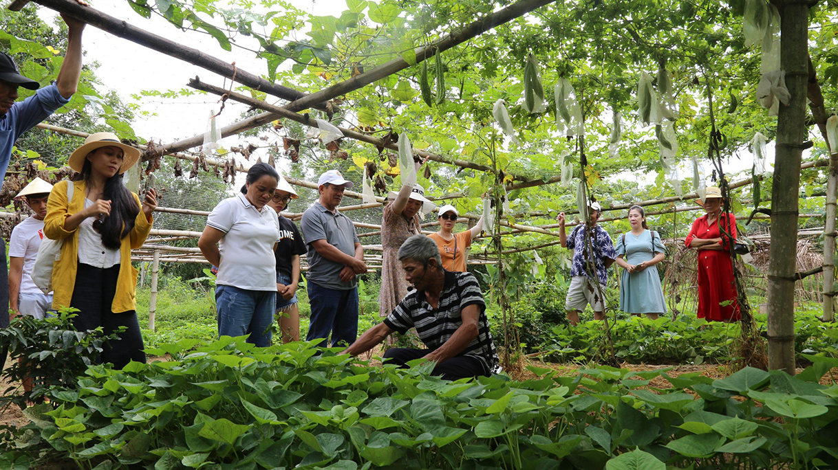 GenZ gánh vác công việc với cộng đồng