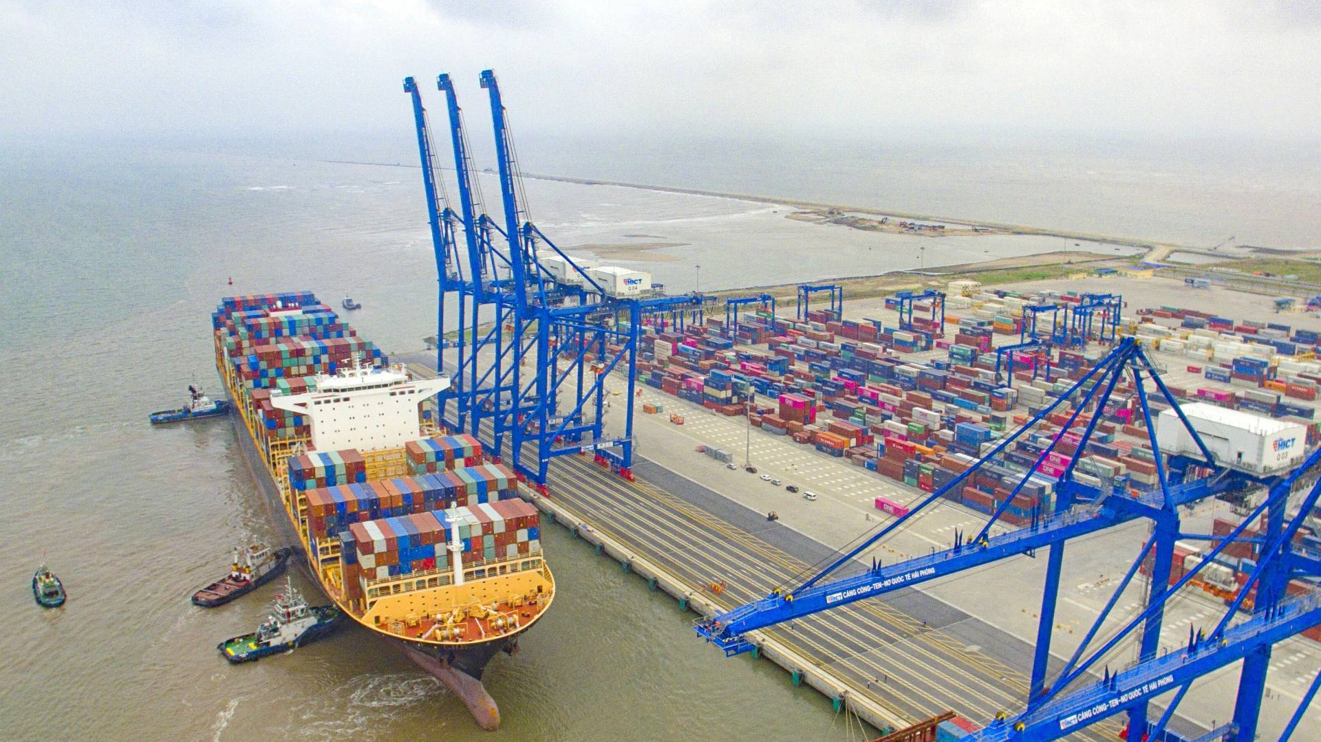 Container Việt Nam (VSC) lên kế hoạch đầu tư cảng nước sâu tại Hải Phòng, Đà Nẵng, Vũng Tàu