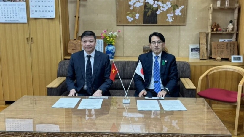 Hợp tác lâm nghiệp Việt Nam - Nhật Bản: Đẩy mạnh hợp tác thương mại gỗ