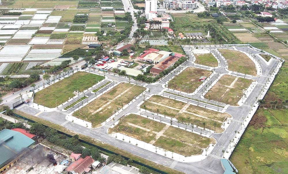 đấu giá