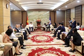 Hội đồng Điện lực Trung Quốc thăm và làm việc với EVN