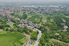 Hà Nội: Đang sốt nóng, đấu giá đất ven đô bất ngờ "ế" chưa từng có