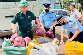 Quảng Trị: Phát hiện 650 kg nội tạng động vật không rõ nguồn gốc, xuất xứ