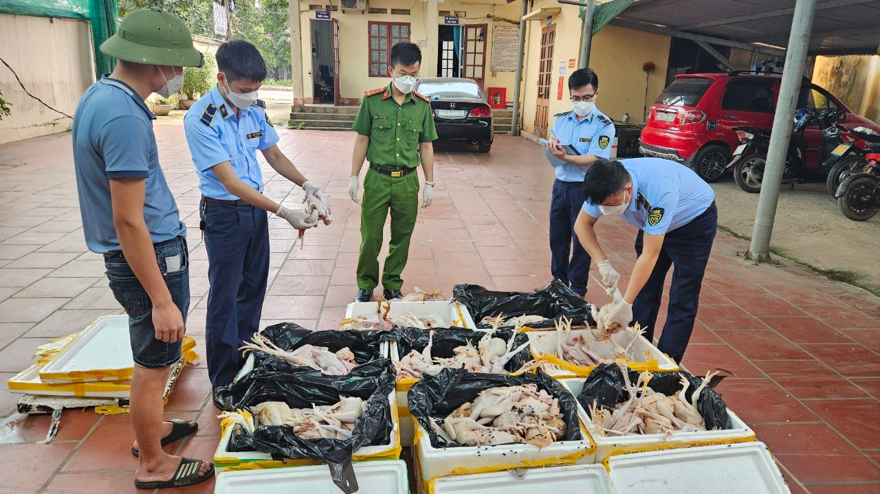 Thái Nguyên: Tiêu hủy gần 200kg thịt gà không đảm bảo an toàn thực phẩm