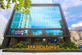 Thaiholdings muốn giảm tỷ lệ sở hữu tại Thaigroup xuống còn 48%