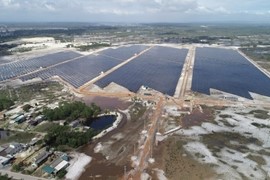 Công ty 1 USD muốn thâu tóm dự án điện nghìn tỷ