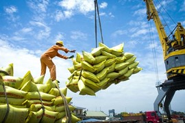 Xuất khẩu gạo Việt Nam bứt phá, Bộ Công Thương tính toán kế hoạch đảm bảo mục tiêu kép